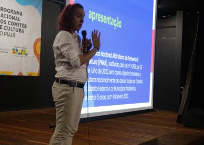 072 - comitedeculturapi